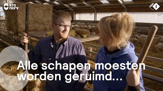 Op bezoek bij Boer Jan en Rianne op Texel  Onze boerderij [upl. by Elgar101]