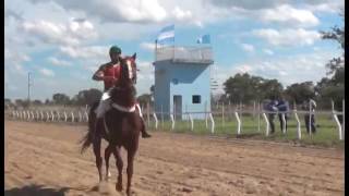 Hipódromo Camarero EN VIVO [upl. by Cherianne]