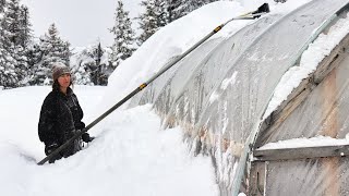 Only In Alaska  Unexpected Baby Moose amp Snowstorm [upl. by Assirralc]