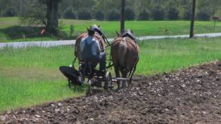 FARMER PLOWING WITH HORSES [upl. by Flaherty]