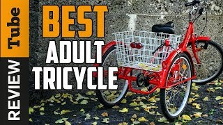 ✅ Tricycle Best Adult Tricycle Buying Guide [upl. by Ahsael]