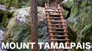 Mount Tamalpais State Park  Dipsea to Steep Ravine Trail Loop  Hiking [upl. by Roscoe991]