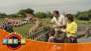 Zoo  Virtual Field Trip  KidVision PreK [upl. by Ahsyak822]