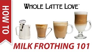 Milk Frothing for Beginners [upl. by Aivatnohs]