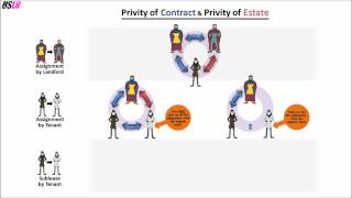 Who is liable to whom Privity of Contract and Privity of Estate [upl. by Bascomb]