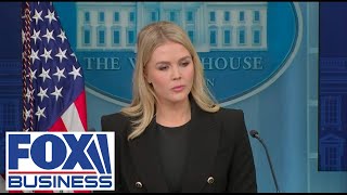 White House press secretary Karoline Leavitt holds briefing [upl. by Sidon]