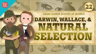 Darwin and Natural Selection Crash Course History of Science 22 [upl. by Nnylav]