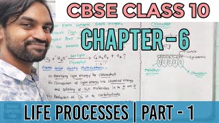 CBSE Class 10  Chapter 6  Life Processes  Part 1  Tamil [upl. by Sofie]