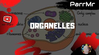 Organelles Song [upl. by Aremat]