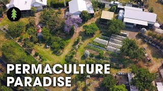 Hugely Abundant 1Acre Permaculture Homestead Tour – Limestone Permaculture Farm Revisit [upl. by Elpmet]