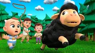 Baa Baa Black Sheep Wheres The White Sheep  Almama Kids Songs amp Nursery Rhymes [upl. by Forrer]