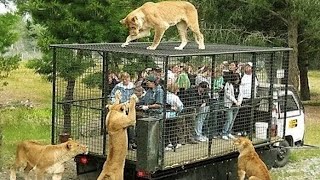 10 MOST STUNNING ZOOS IN THE WORLD [upl. by Yager]