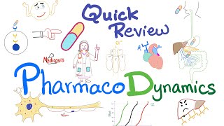 Pharmacodynamics  What the med does to your body  Quick Review  Pharmacology Lectures [upl. by Ylrebmi]