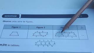 Q1 CE1D mathématique 2023 Dénombrements [upl. by Clardy]