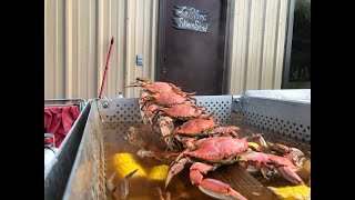 How to Boil Blue Crabs Louisiana Style [upl. by Tisbe]