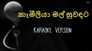 Kameliya Mal Suwandata Karaoke Without Voice [upl. by Berriman]