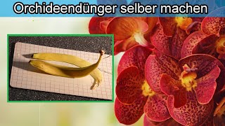 Bananenschale als Dünger für Orchideen – Der beste Orchideendünger – Dünger selber herstellen [upl. by Ahsoet]