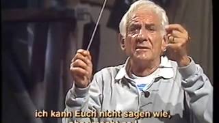 Triangle Lessons with Leonard Bernstein [upl. by Anadal]