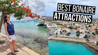 Bonaire Travel Guide  The Best Things to See and Do in Bonaire [upl. by Ximenez]