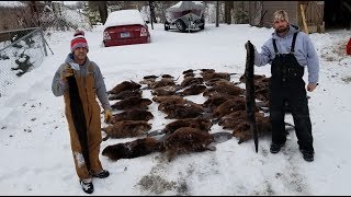 Winter Beaver Trapping at its Best [upl. by Alexia]