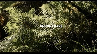 Sound Fields Adventures in contemporary field recording [upl. by Elon231]