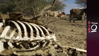 🇦🇺 Battling the dry Australias Drought Crisis  101 East [upl. by Iznik]