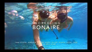 Snorkeling Bonaire [upl. by Sairacaz]