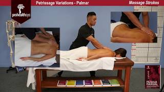 Awesome Massage Petrissage Variations Kneading Vizniak [upl. by Enilorac]