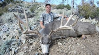 Huge Buck on the Henry Mountains  MossBack [upl. by Kifar]