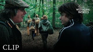 Amos and Cedric Diggory  Harry Potter and the Goblet of Fire [upl. by Braden]