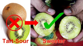 How to Ripen Kiwi Fruit at Home [upl. by Su]