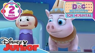 Doc McStuffins Toy Hospital  The Emergency Room Song  Disney Junior UK [upl. by Nadab]