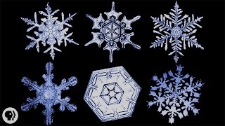 The Science of Snowflakes [upl. by Akcir]