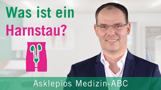 Was ist ein Harnstau  Medizin ABC  Asklepios [upl. by Deirdre]