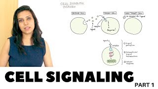 Cell Signaling Overview  Part 1 [upl. by Pul]