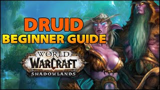 Druid Beginner Guide  Overview amp Builds for ALL Specs WoW Shadowlands [upl. by Uriel]