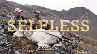 SELFLESS  Alaska Dall sheep grizzly bear caribou hunting [upl. by Esej]