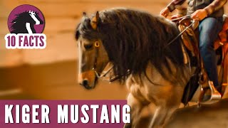 10 Fascinating Facts About the Kiger Mustang [upl. by Elwina]