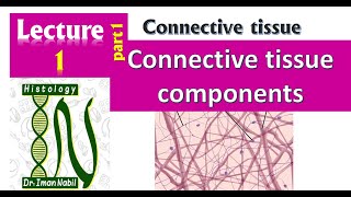 1aConnective tissue componenets part1Ground substances  Histology [upl. by Lleznod]