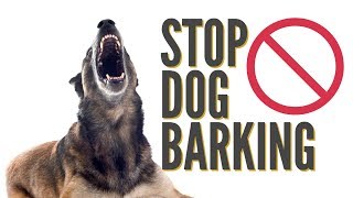 How To Quickly Stop Dog Barking [upl. by Greysun]