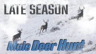 Hunting the Winter Range for Giant Mule Deer Eastmans Beyond the Grid [upl. by Tavey]