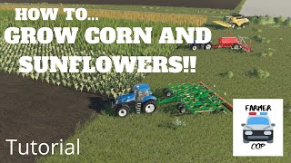 How To Grow Corn and Sunflowers in Farming Simulator 19 [upl. by Convery]