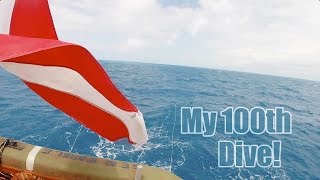 SCUBA Diving Key West 2016  100th Dive [upl. by Hirza]