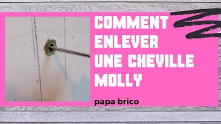 ASTUCE PLACO comment enlever une cheville molly [upl. by Japeth]