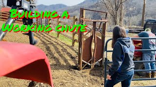 How to build a cattle chute [upl. by Wrdna]