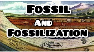 Fossil And Fossilization [upl. by Nelleeus]