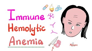 Immune Hemolytic Anemia intro [upl. by Marella]