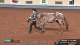 2020 AQHA Showmanship [upl. by Ahpla]