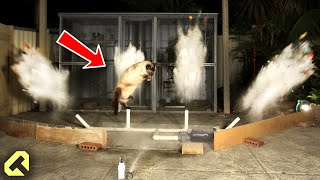 Next Level Cat Repellent  Funny Cat Reactions [upl. by Chun]