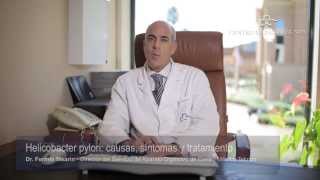 What is Helicobacter Pylori Bacteria amp Symptoms of H Pylori [upl. by Acessej]